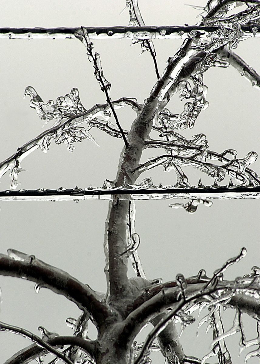 Crawford County Ice