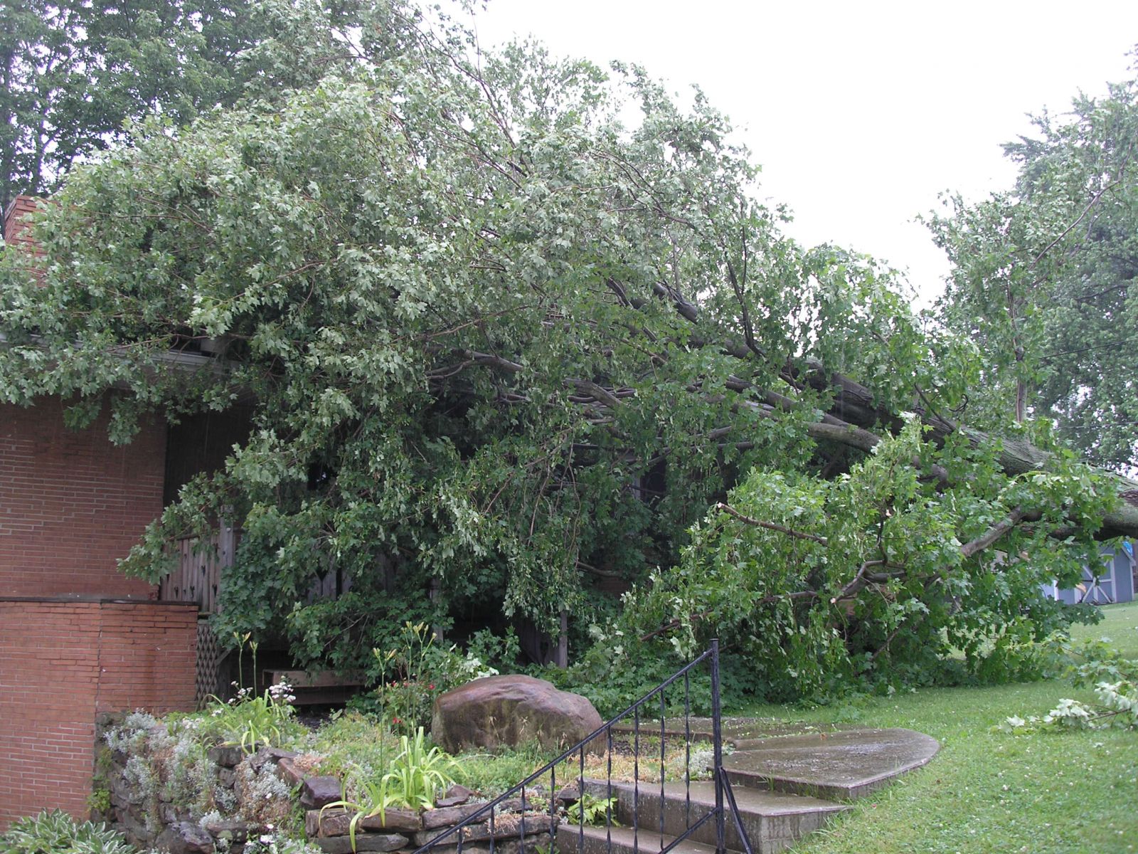 Storm Damage
