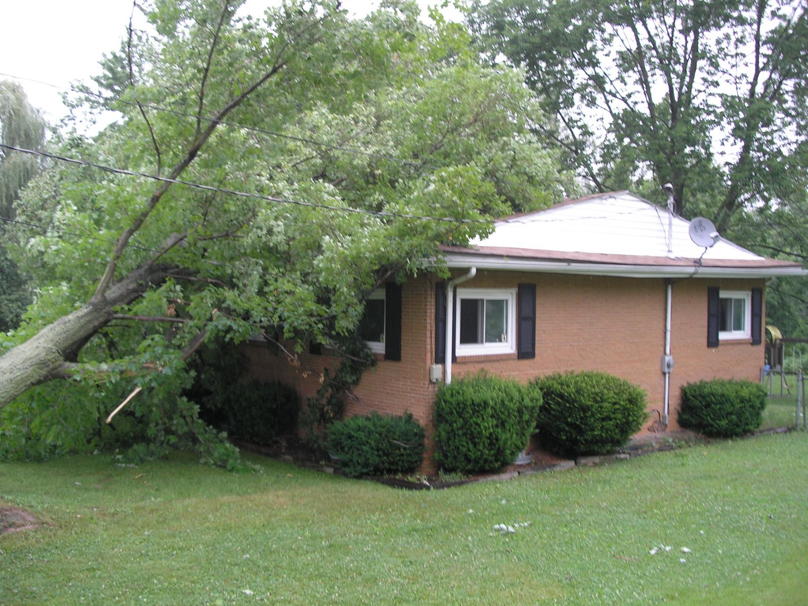 Storm Damage