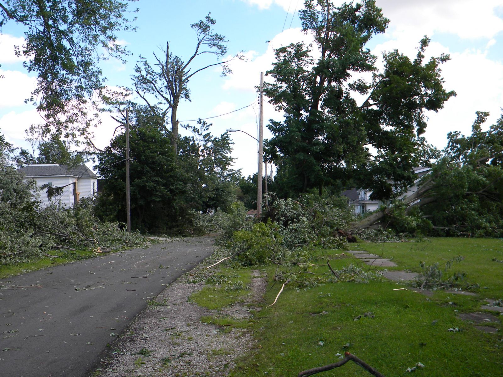 Bellevue - storm damage survey picture