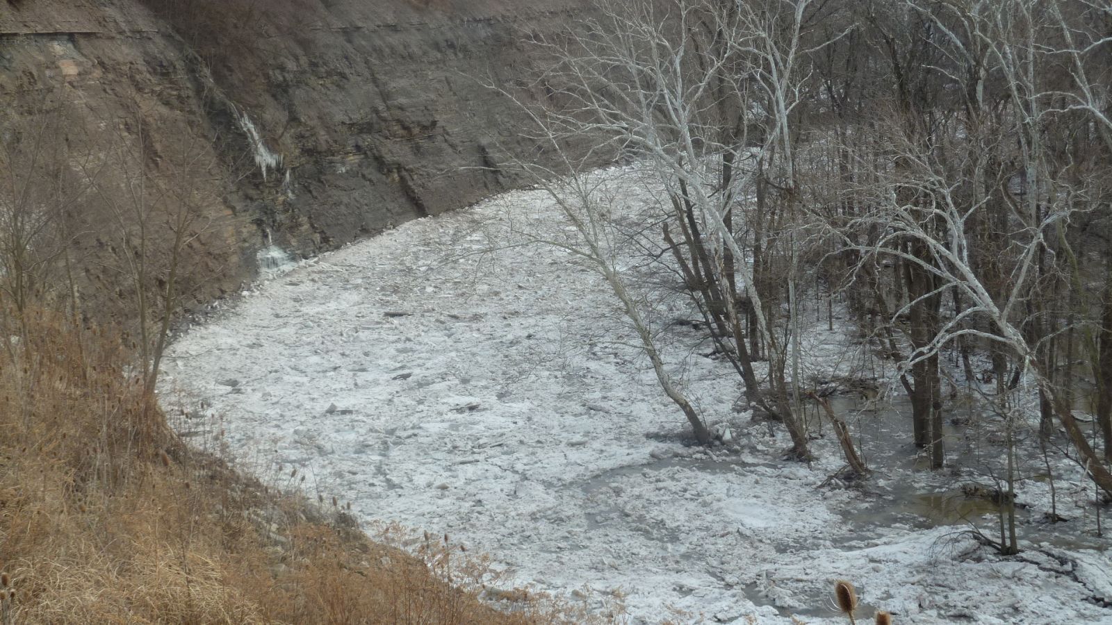 ice collecting on a bend in the Vermilion River