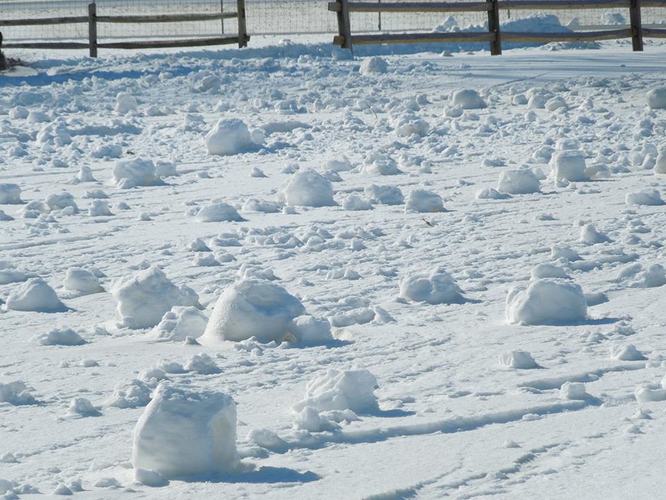 field of snow rollers in Findlay, OH