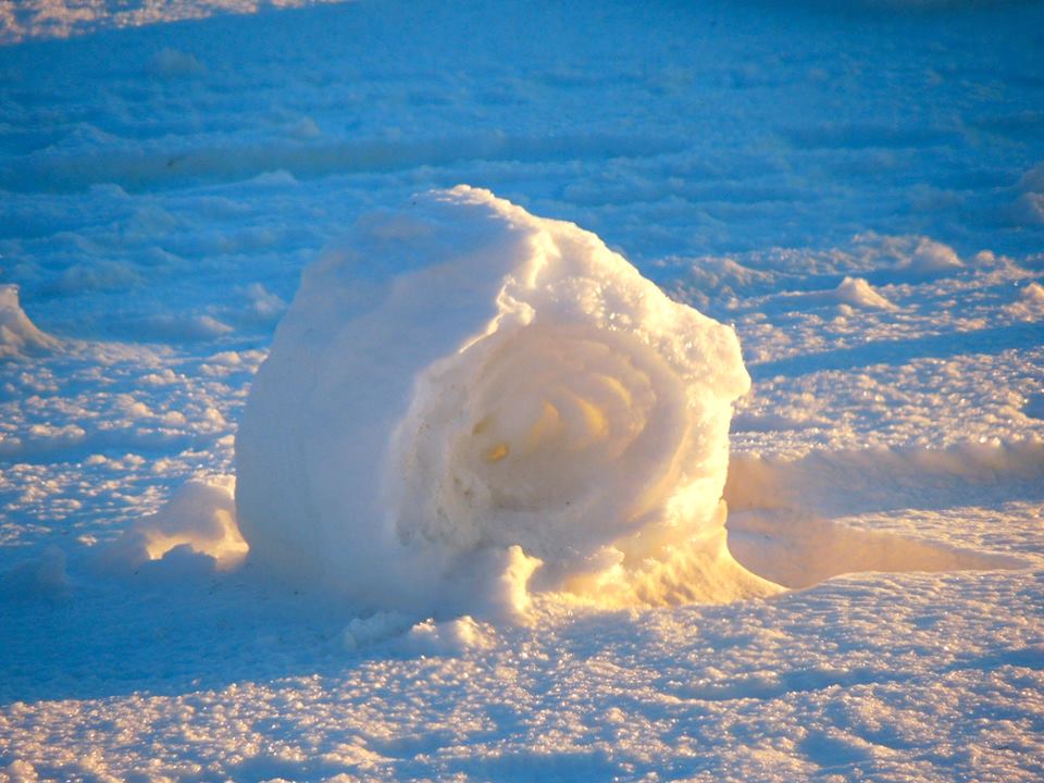 snow roller from 1/28/14 in Findlay, OH