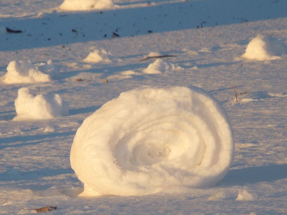snow roller in Findlay, OH