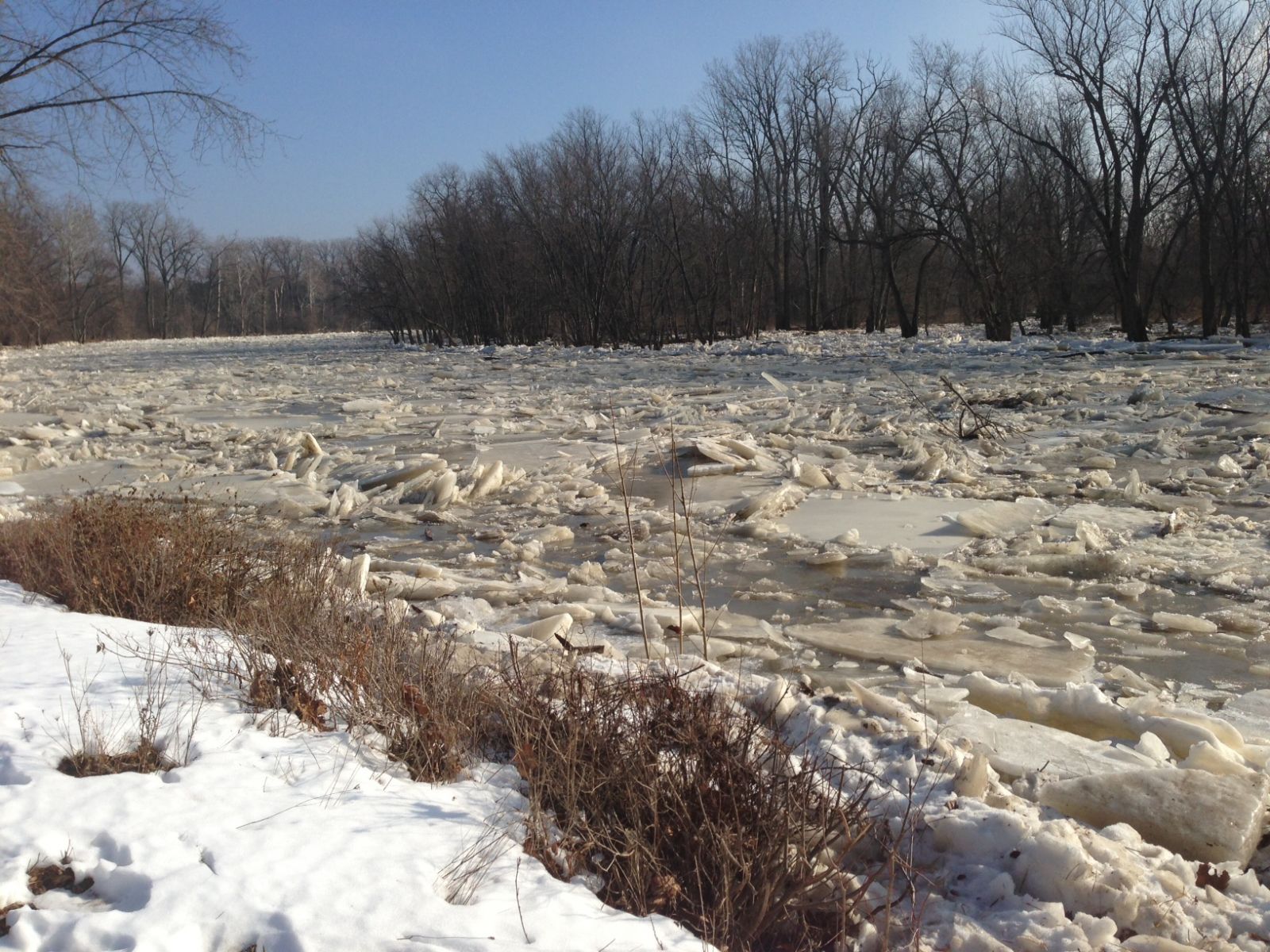 ice shield across the Maumee River at Sidecut Park 1/14/14