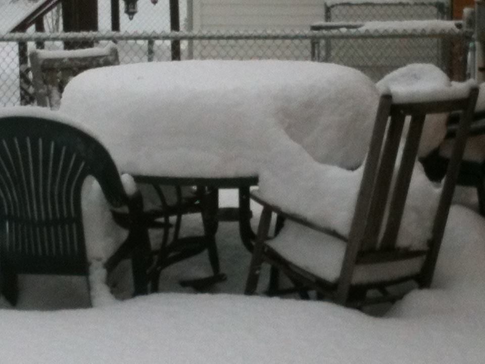 snow in Erie, PA from Nov. 13, 2014