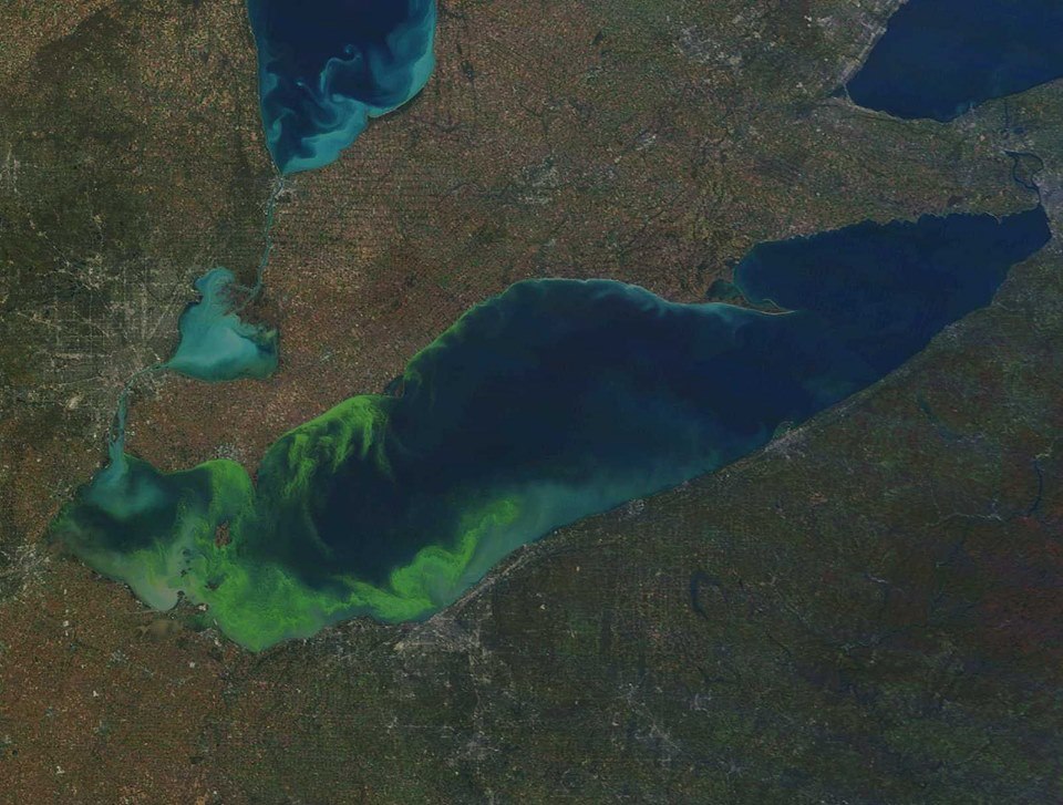  MODIS satellite image of Lake Erie on October 9, 2011, showing an algal bloom considered to be among the worst ever observed. Credit: NOAA. CoastWatch.