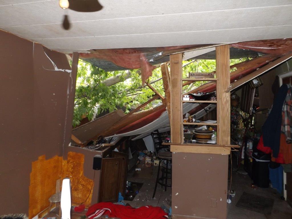 Photo of damage to mobile home from fallen tree.