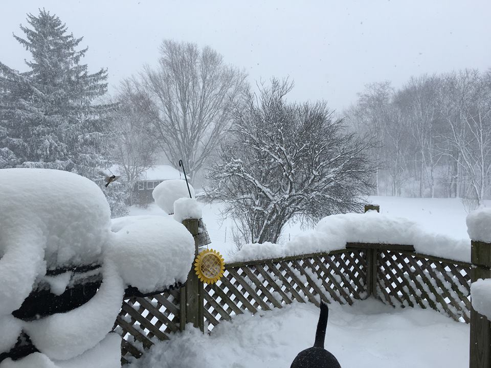 Madison, Lake County