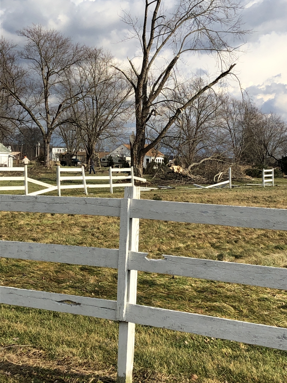 damage from Cortland tornado, tree damage