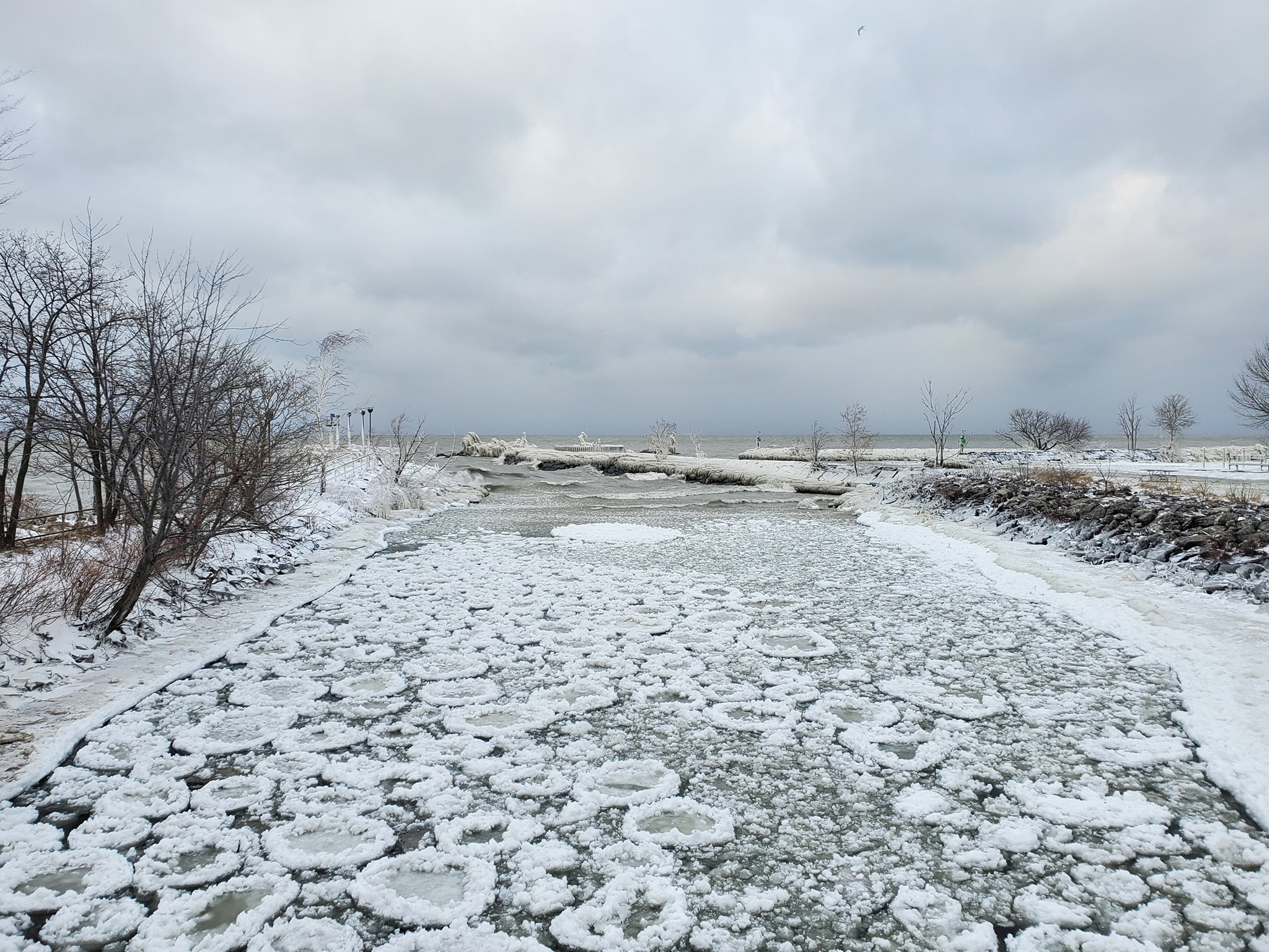 Photo shows ice forming at Wildwood Marina in Cleveland, OH.