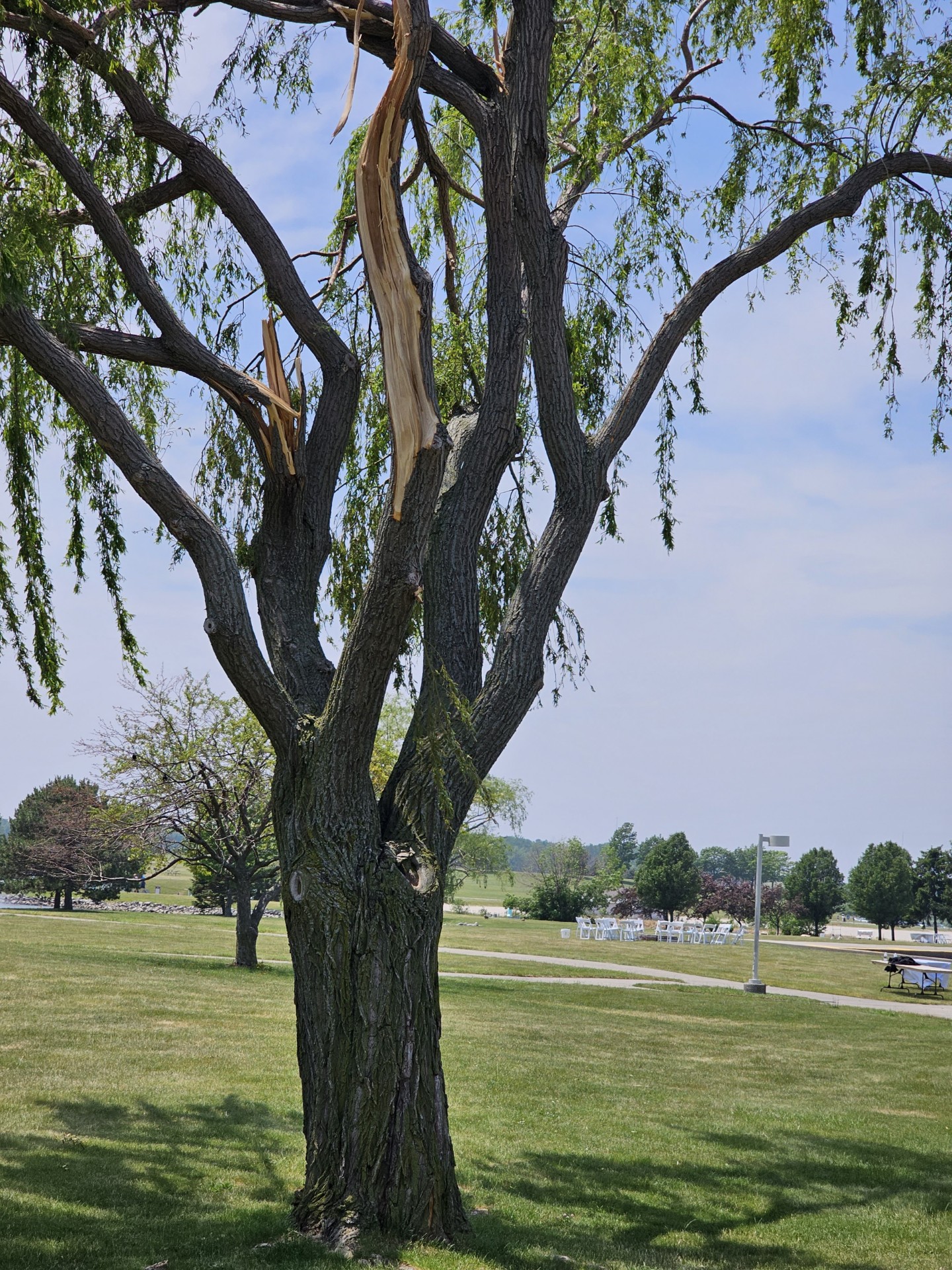 Photo of Damage at Maumee Bay State Park