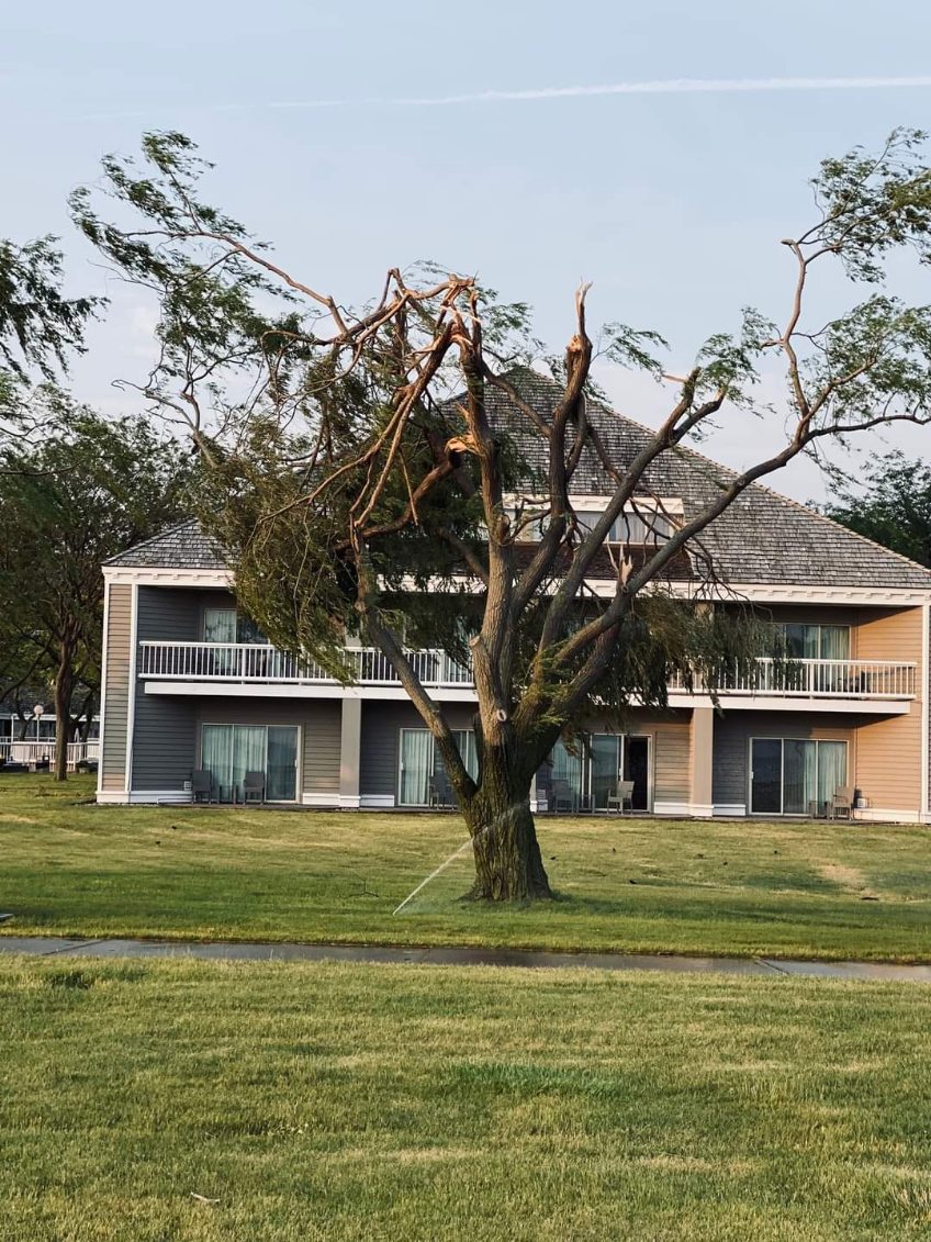 Photo of Damage at Maumee Bay State Park