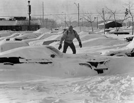 picture of buried cars