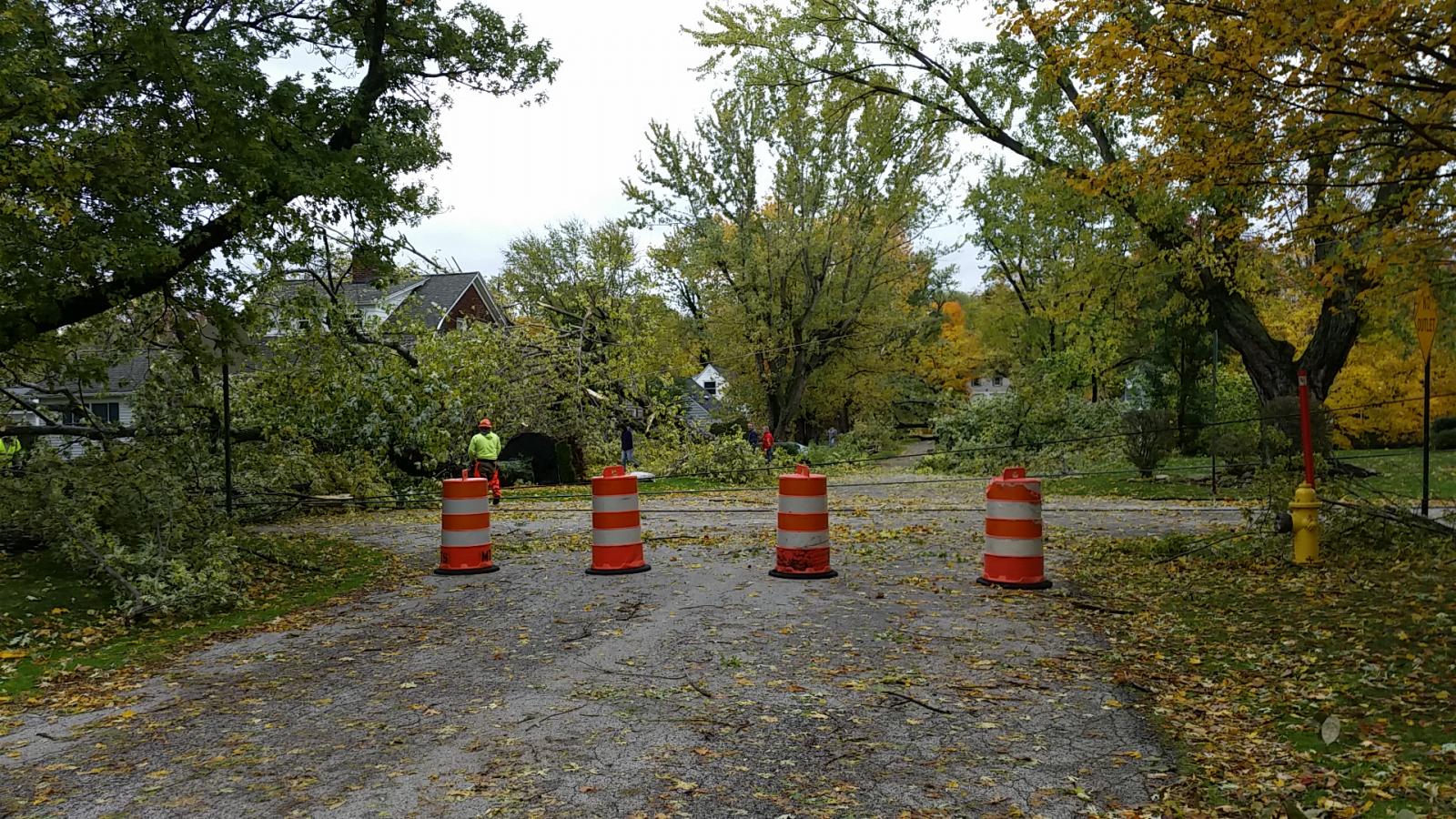 Tree Damage from Milcreek PA, November 5 2017