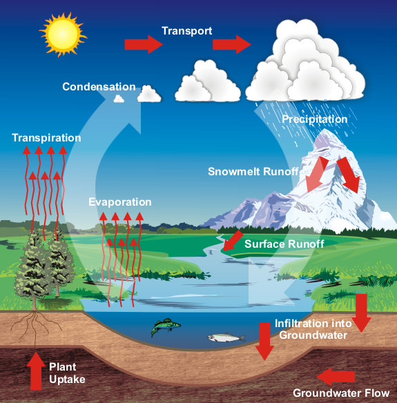 weather research project 6th grade