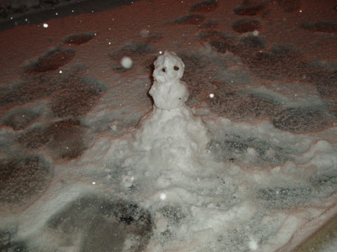 Corpus Christi - NWS Snowman