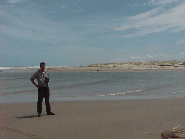 Land Photos of Coast after Bret