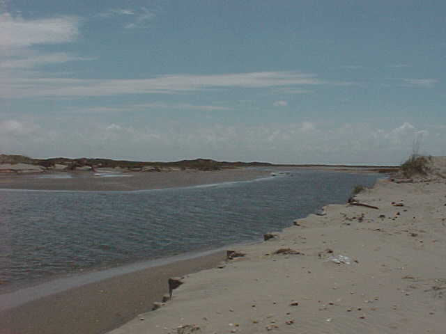 Land Photos of Coast after Bret