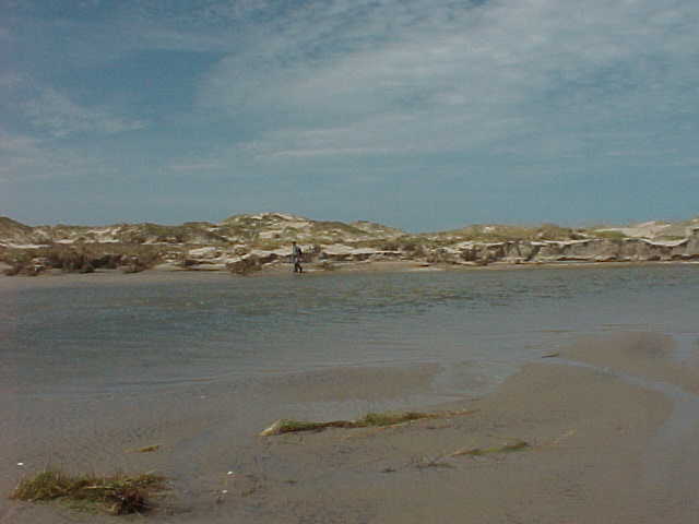 Land Photos of Coast after Bret