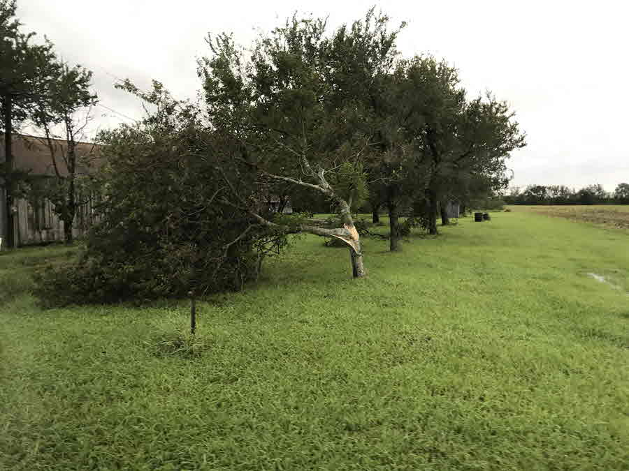 Port Lavaca