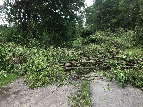 damage picture 1