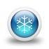 Past Snowfall