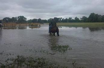 Lodgepole Flooding