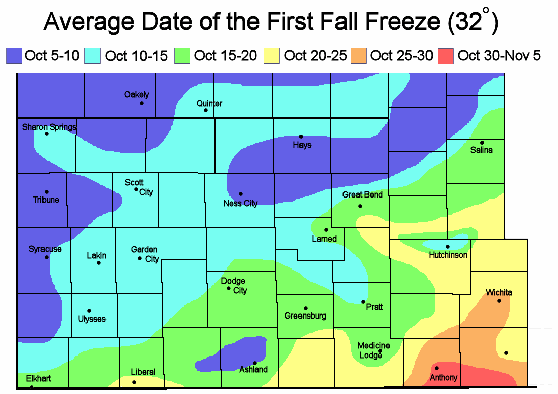 Freeze Information