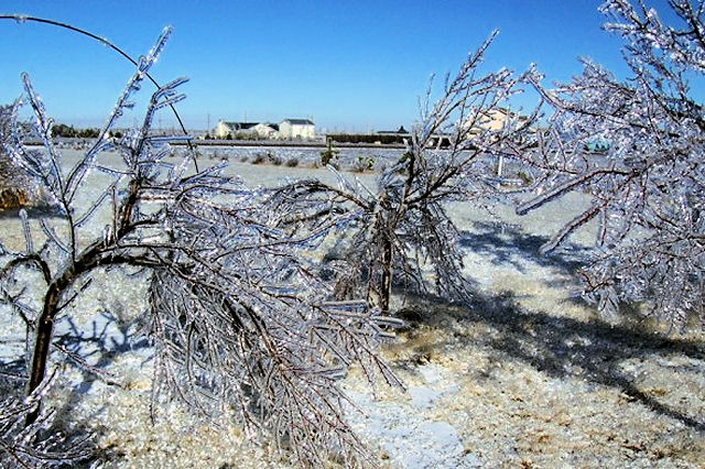 Extreme Winter Storm Of Dec 28 31 2006