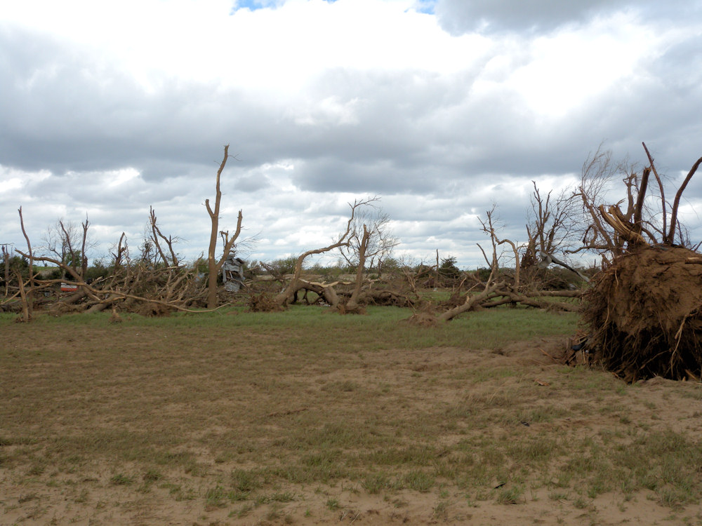 Tree damage in Stafford county