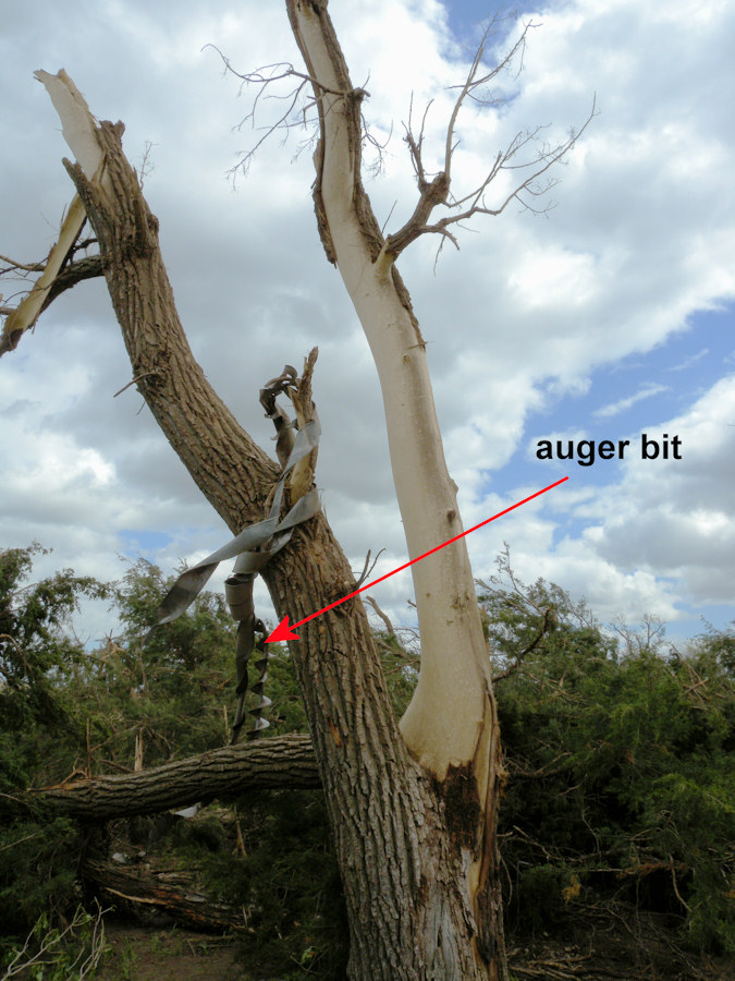 A grain auger was wrapped around this tree hit by the tornado
