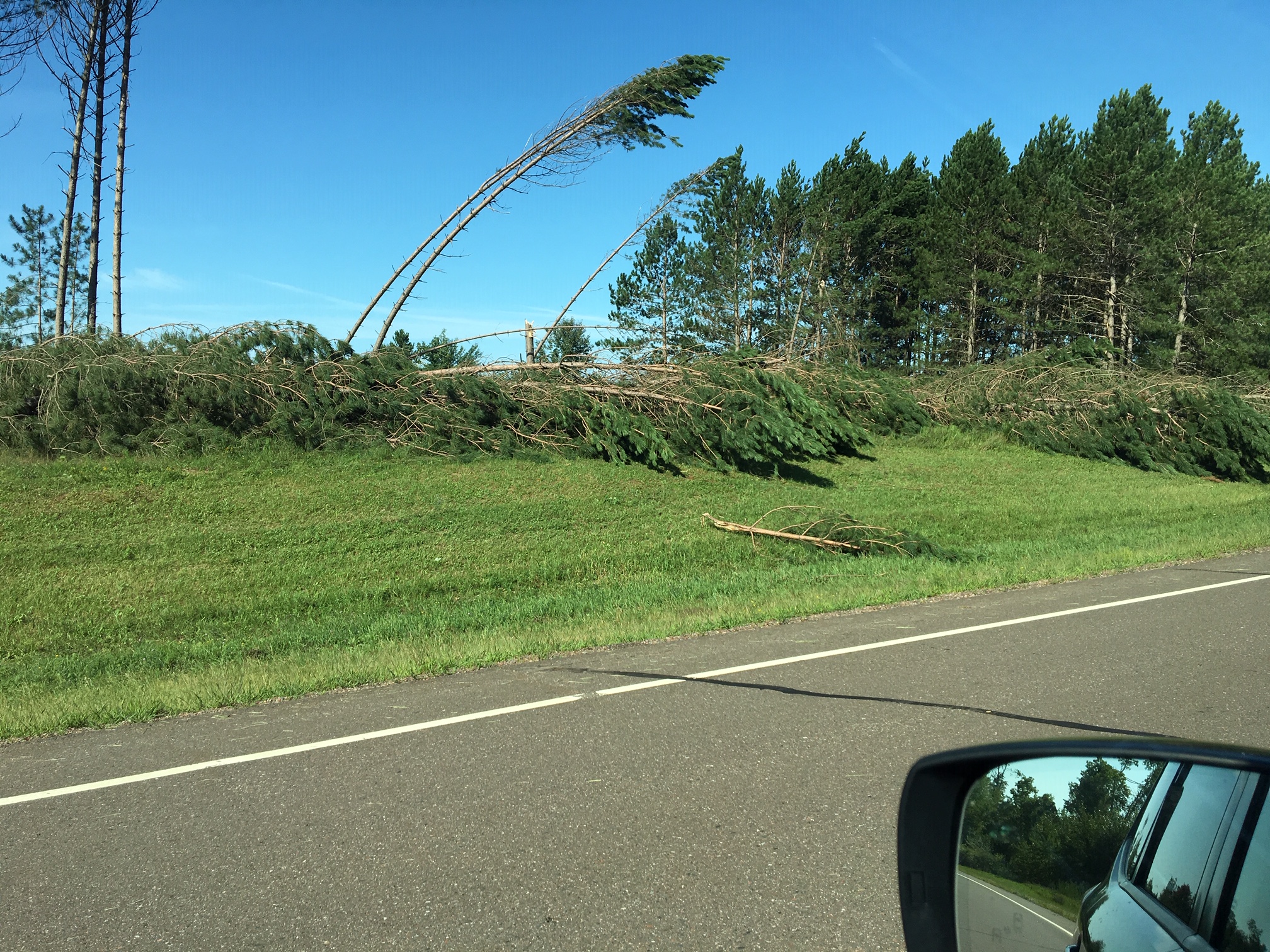 Numerous trees down west of Kerrick in northern Pine county, Minnesota