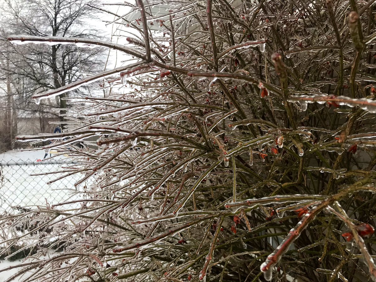 Garden City Ice 1
