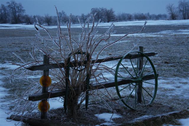 January Ice Storm