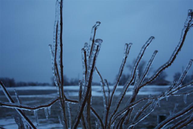 January Ice Storm