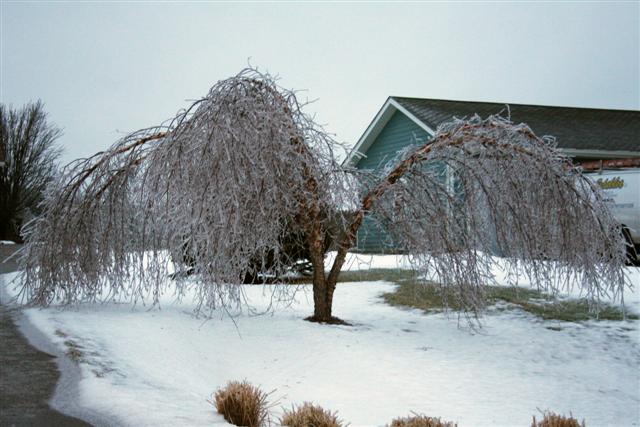 January Ice Storm