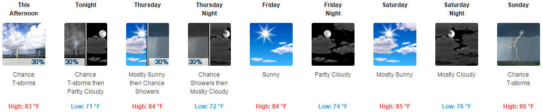Dual icon example. Chance for afternoon and evening showers/thunderstorms