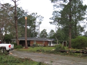 [ Downed Trees in Crisp County. ]