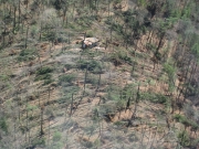 [ Tornado Damage in Gilmer County. ]