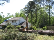 [Tree and House Damage from EF-1 Tornado in Macon. ]