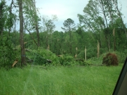 [ Tornado Damage from Greene county. ]