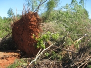 [ Tornado Damage from Meriwether county. ]