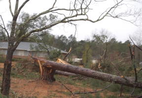 [ Laurens County ]