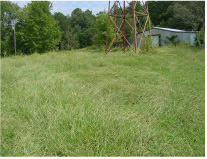 [ Swirl pattern in tall grass on upwind side of windmill tower - diameter of pattern is approximately 4-6 feet ]