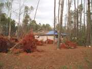 [ Uprooted trees and damaged house on Turner Circle. ]