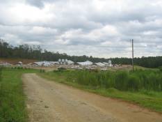 [ Destroyed large poultry barns east of Roopville. ]