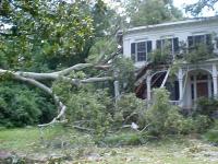 [ Downed tree damages home ]