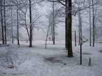 [ Snow in Lake Horton. ]