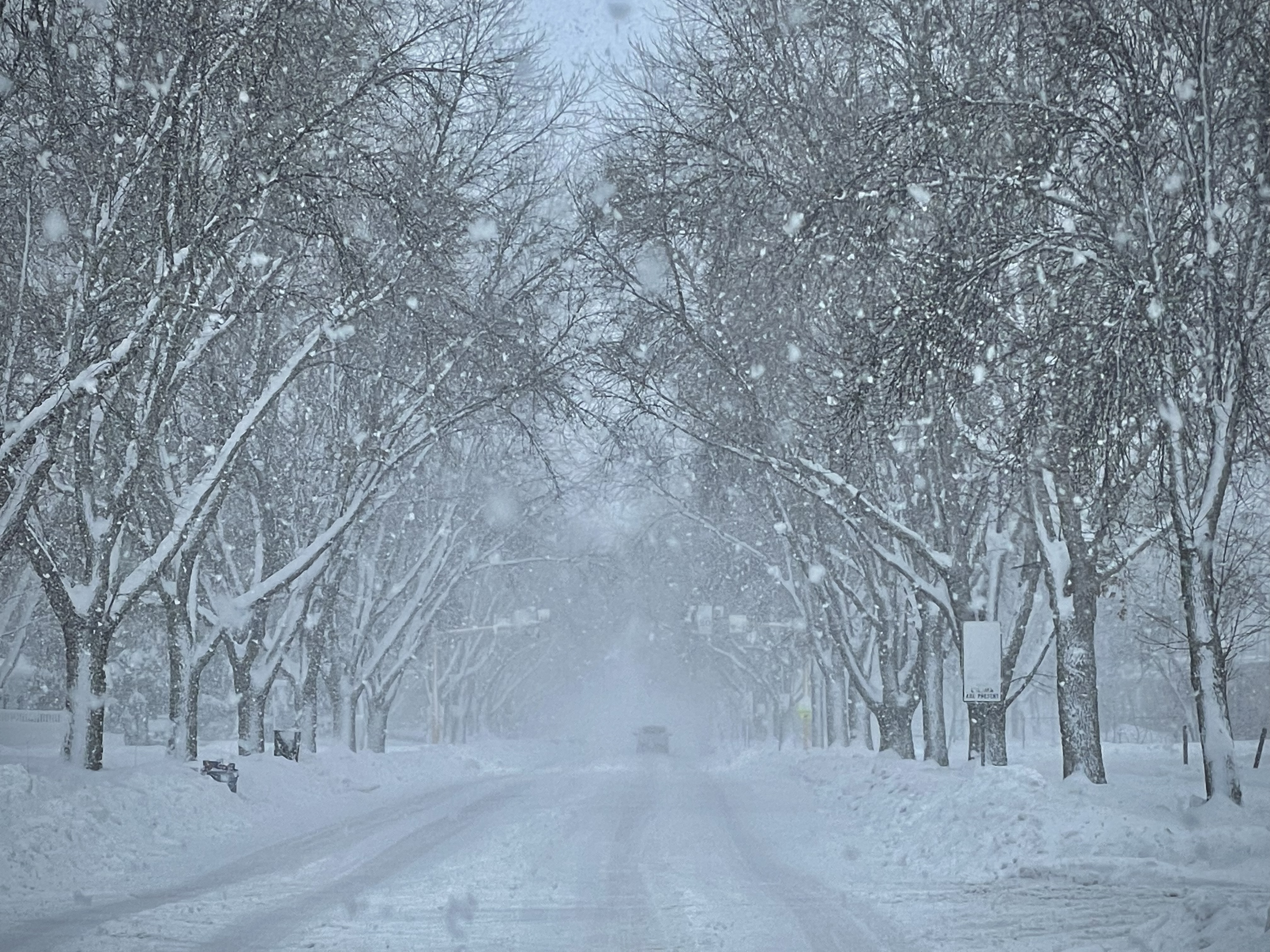 Heavy Snow Grand Forks